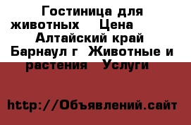 Гостиница для животных. › Цена ­ 500 - Алтайский край, Барнаул г. Животные и растения » Услуги   